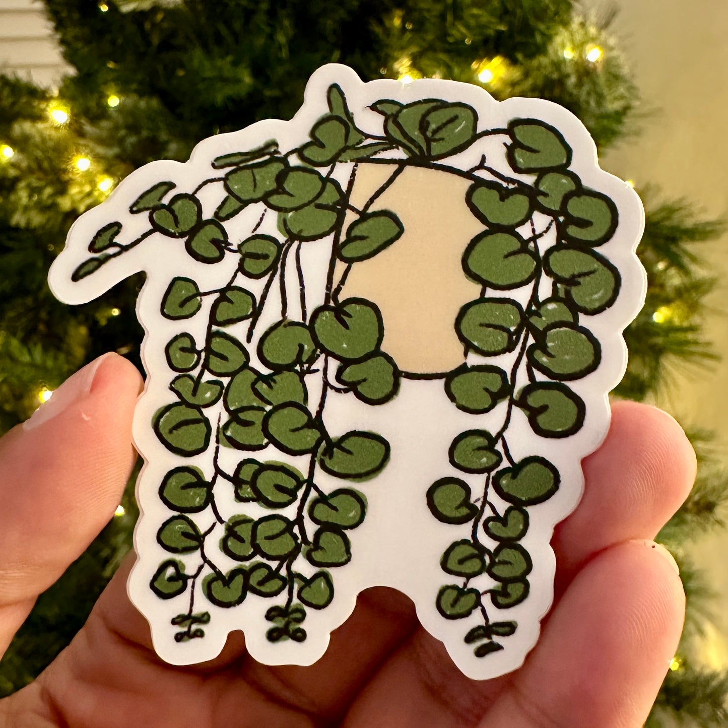Pothos Vinyl Sticker