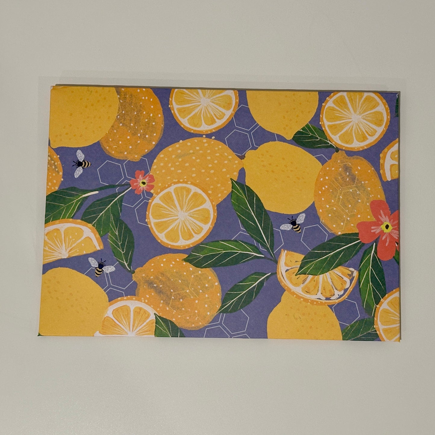 Citrus Envelopes (Set of 6)