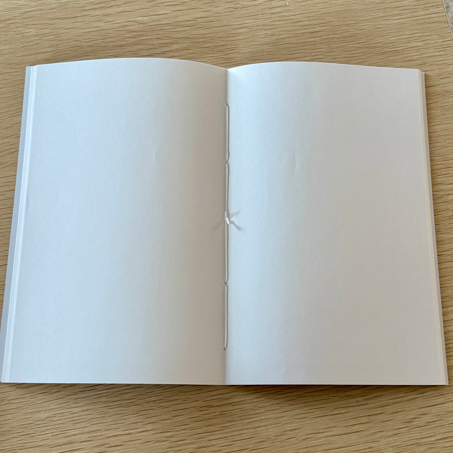 Hand-Sewn Notebook – 2 for $25